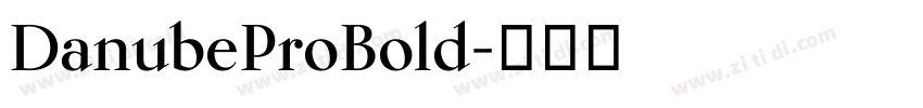 DanubeProBold字体转换