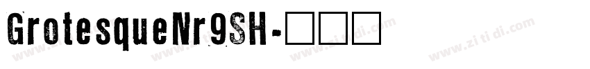 GrotesqueNr9SH字体转换