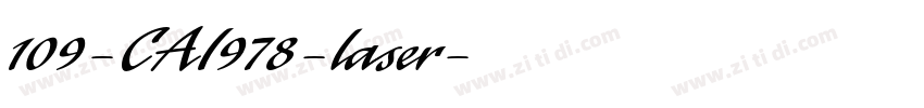 109-CAI978-laser字体转换
