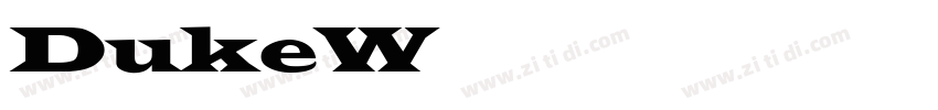 DukeWideNormal字体转换
