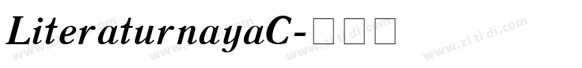 LiteraturnayaC字体转换