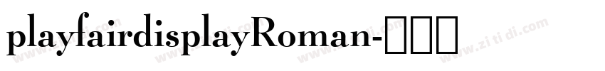playfairdisplayRoman字体转换