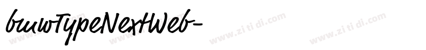 bmwTypeNextWeb字体转换