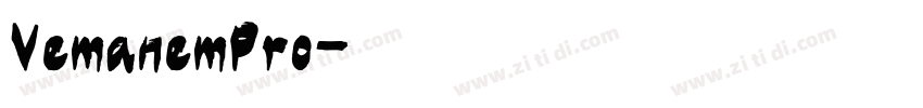 VemanemPro字体转换