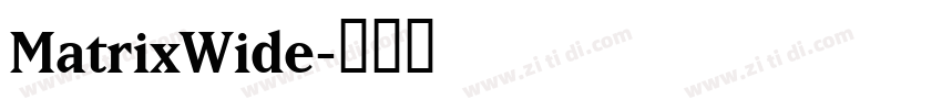 MatrixWide字体转换