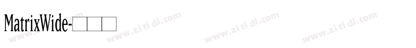 MatrixWide字体转换