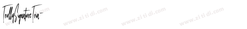 TrullySignatureTria字体转换
