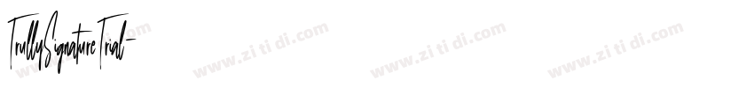 TrullySignatureTrial字体转换