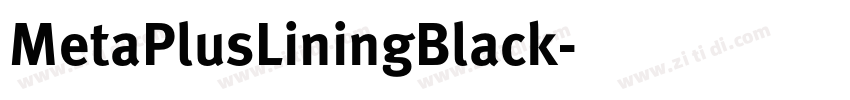 MetaPlusLiningBlack字体转换