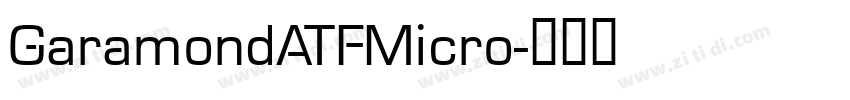 GaramondATFMicro字体转换