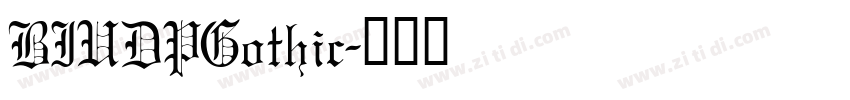 BIUDPGothic字体转换
