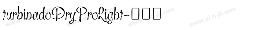 turbinadoDryProLight字体转换