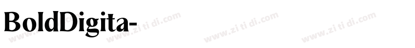 BoldDigita字体转换