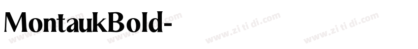 MontaukBold字体转换