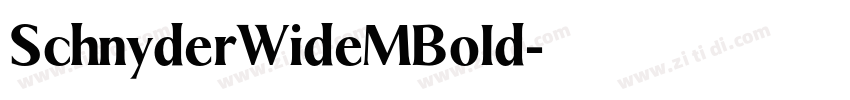 SchnyderWideMBold字体转换