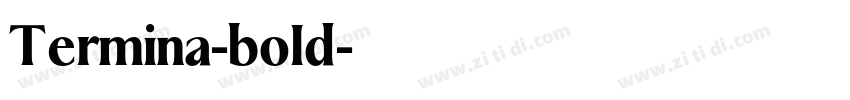 Termina-bold字体转换