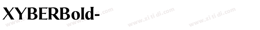 XYBERBold字体转换