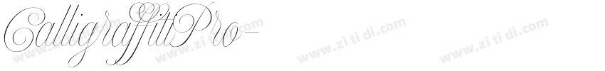 CalligraffitiPro字体转换