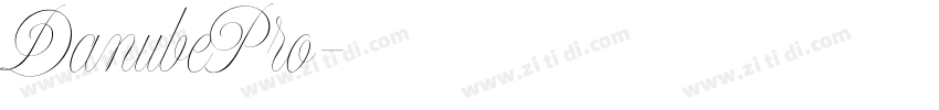 DanubePro字体转换