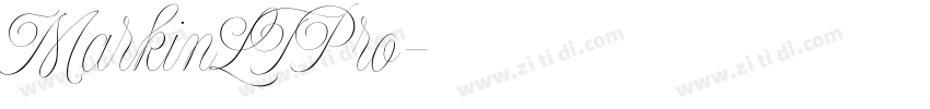 MarkinLTPro字体转换