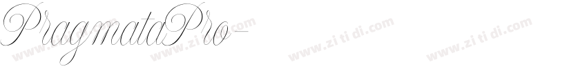 PragmataPro字体转换