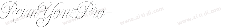 ReimYonzPro字体转换