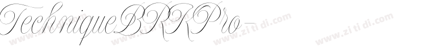 TechniqueBRKPro字体转换