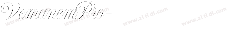 VemanemPro字体转换