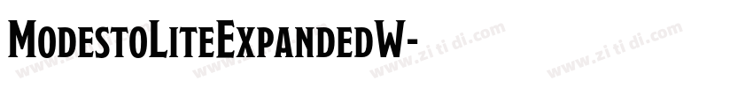 ModestoLiteExpandedW字体转换