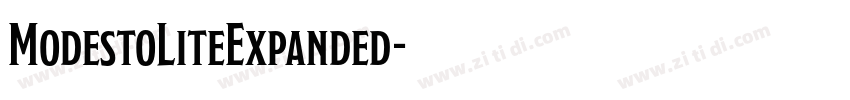 ModestoLiteExpanded字体转换
