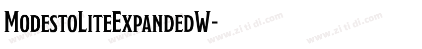 ModestoLiteExpandedW字体转换