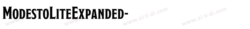 ModestoLiteExpanded字体转换