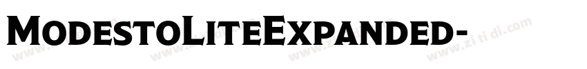 ModestoLiteExpanded字体转换