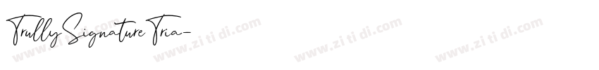 TrullySignatureTria字体转换