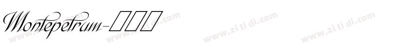 Montepetrum字体转换
