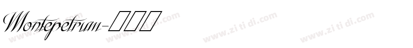 Montepetrum字体转换
