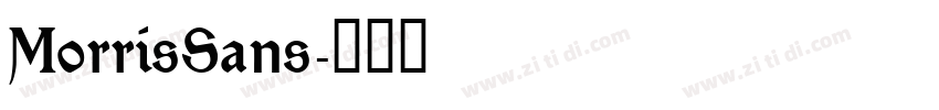 MorrisSans字体转换