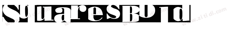 SquaresBold字体转换