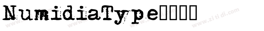 NumidiaType字体转换