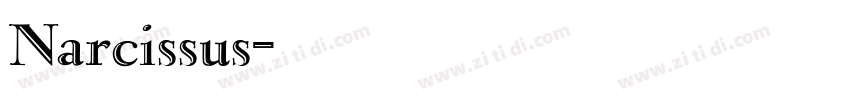 Narcissus字体转换