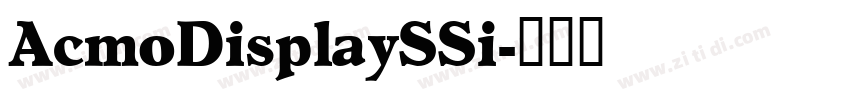 AcmoDisplaySSi字体转换