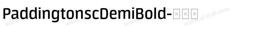 PaddingtonscDemiBold字体转换
