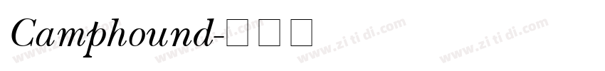 Camphound字体转换