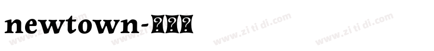 newtown字体转换
