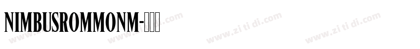 NimbusRomMonM字体转换