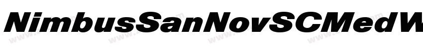 NimbusSanNovSCMedW05字体转换
