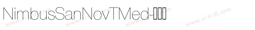 NimbusSanNovTMed字体转换