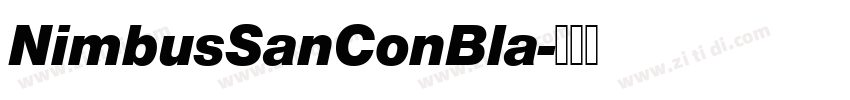 NimbusSanConBla字体转换 NimbusSanConBla字体转换