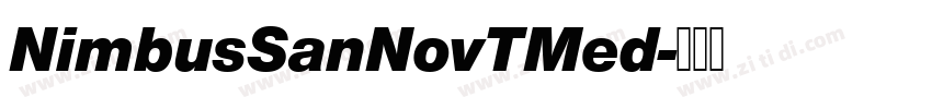 NimbusSanNovTMed字体转换