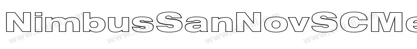 NimbusSanNovSCMedW05字体转换